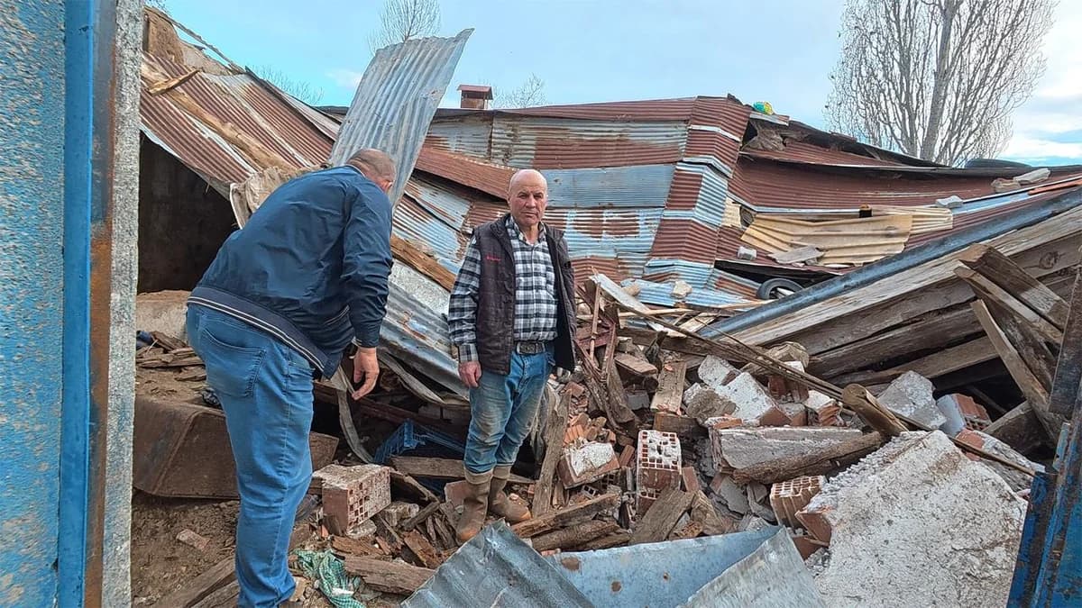 Yozgat’ta Ahır Çatısı Çöktü: 6 Büyükbaş Hayvan Kurtarıldı