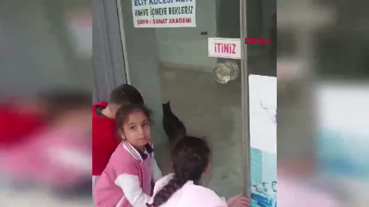 Çorum’da Minik Pati Kurtarıldı: Öğrencilerin Merhameti Devreye Girdi