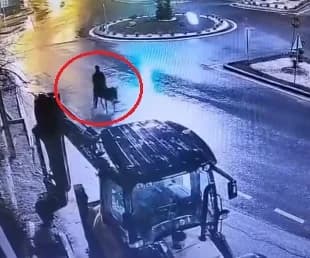 Eşekle Kaçan Kuyumcu Hırsızı Hakkında Şok Gerekçe: Savunması Samimi Bulunmadı