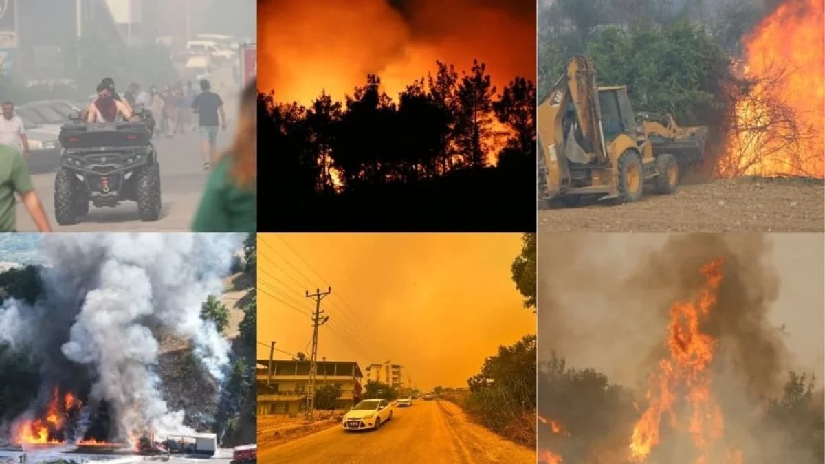 Türkiye’de orman yangınlarında 2025’in acı bilançosu açıklandı