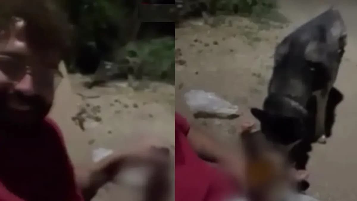 Ankara’da Vicdansız Olay: Şahıs Köpeğine Zorla Alkol İçirerek Tepki Çekti