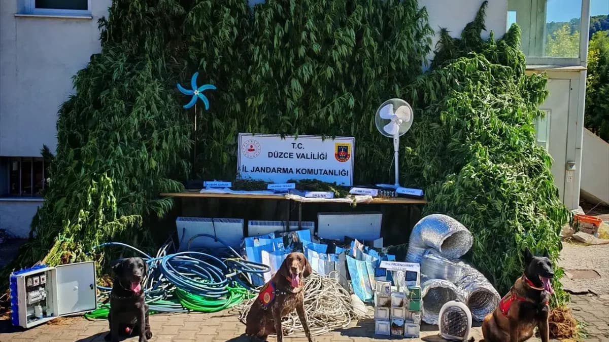 Düzce’de Fotokapanla Yakalanan Kenevir Ekicisi Gözaltında