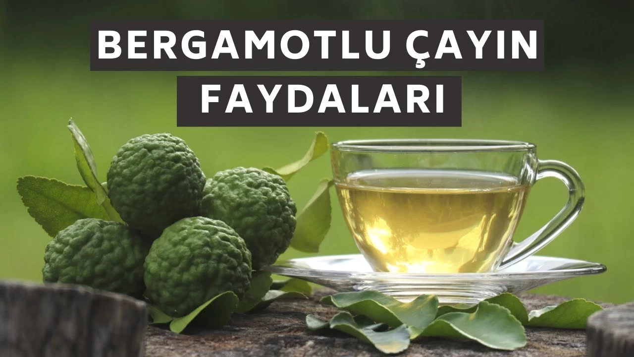 Bergamot Çayı: Aromatik Lezzeti ve Sağlık Faydalarıyla Güzellik Rehberi