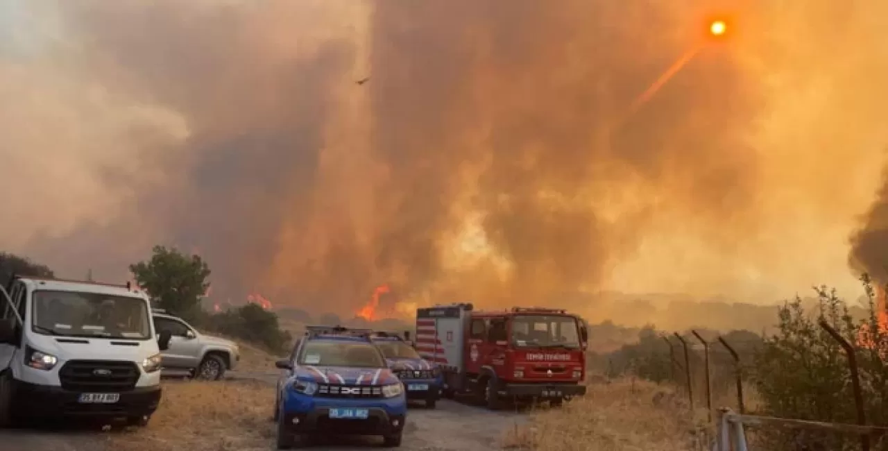 İzmir’de Devam Eden Orman Yangını: Tahliyeler, Müdahaleler ve Zor Anlar