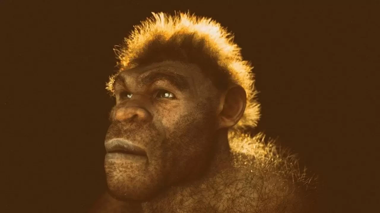 Neandertallerin Soyu Neden Tükendi? Yeni Araştırmalar ne diyor