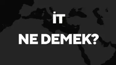 "İt" Ne Demek TDK? Anlamı ve Örnek Kullanım Alanları