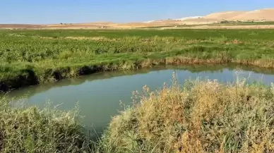 Harran Ovası'nda dev obruklar: Çiftçiler endişeli!