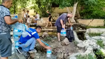 Tel örgüleri keserek bakteri içeren suyu içtikleri anlaşıldı.