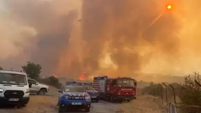 İzmir’de Devam Eden Orman Yangını: Tahliyeler, Müdahaleler ve Zor Anlar