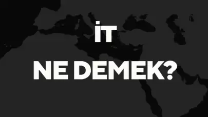 "İt" Ne Demek TDK? Anlamı ve Örnek Kullanım Alanları