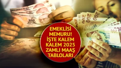 Emekli ve Memur Maaşlarına Ocak 2025 Zammı Belli Oldu: İşte Detaylı Tablo ve Ödeme Takvimi