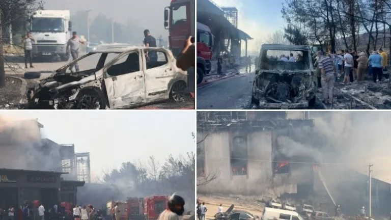 Buca’da Evini Yaktı, Orman Yangınına Sebep Oldu: İzmir’de Felaket Günü