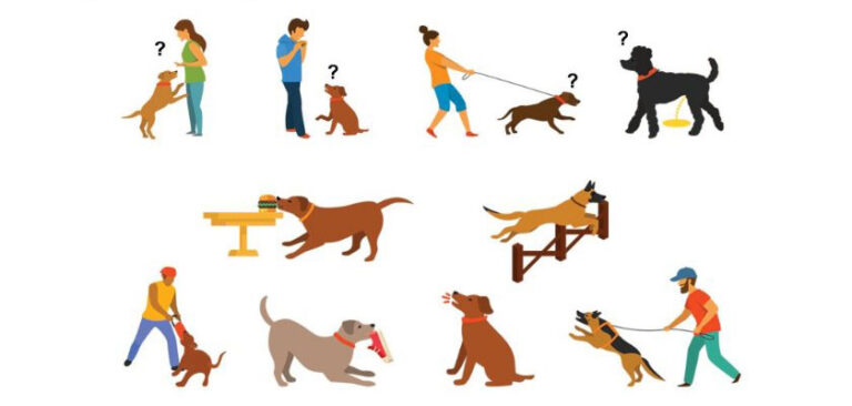 Köpeklerin Ruhsal Durumu: Evcil Hayvanınızı Anlamanın Yolları