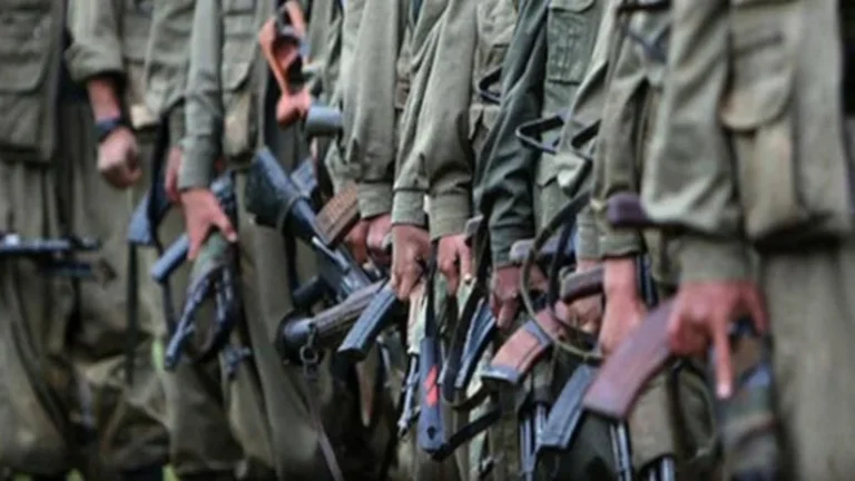 Terörsüz Türkiye süreci başlıyor: Silah bırakanlar ne yapacak?