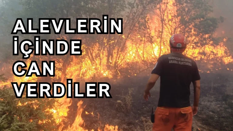 Her Yaz Yanıyoruz, Ama Hiçbir Şey Değişmiyor